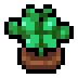 Faux Basil icon