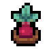 Faux Beet icon