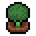 Faux Broccoli icon