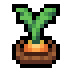 Faux Carrot icon