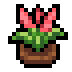 Faux Celosia icon