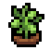 Faux Chickpea icon