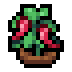 Faux Chili Pepper icon