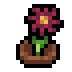 Faux Cosmos icon