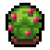 Faux Cranberry icon