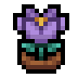 Faux Crocus icon