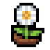 Faux Daisy icon
