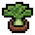 Faux Fennel icon