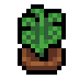 Faux Fiddlehead icon