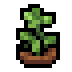 Faux Oregano icon