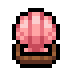 Faux Pink Scallop Shell icon