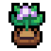 Faux Potato icon