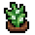 Faux Sesame icon