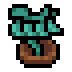Faux Snow Peas icon