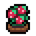 Faux Strawberry icon