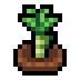 Faux Sugar Cane icon