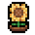 Faux Sunflower icon
