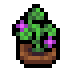 Faux Sweet Potato icon