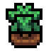 Faux Tea icon