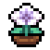Faux Temple Flower icon