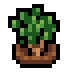 Faux Thyme icon