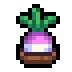 Faux Turnip icon