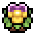 Faux Viola icon