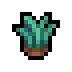 Grass Starter icon