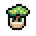 Lemon Bonsai icon