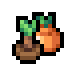 Orange Sapling icon