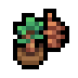 Pine Sapling icon